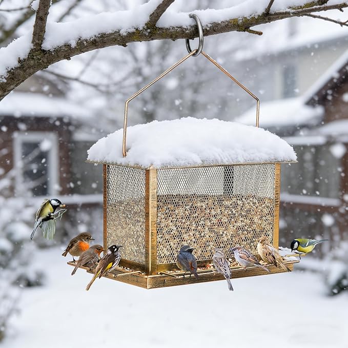 Bird Feeder, Heavy Duty Metal Bird Feeders for Outdoor Hanging, Wild Birdfeeder with Lid Buckle for Garden Yard Outside Backyard, 6LB Large Capacity
