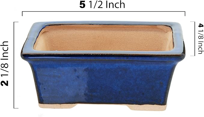 Leaves and Soul Bonsai Kit – Blue Ceramic Pot Set with Soil Mix, 160ft Training Wire, Cutter, Fertilizer & Storage Bag | Complete Beginner Bonsai Starter Set