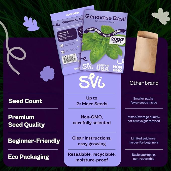 SVI 2000 Genovese Basil Seeds (Ocimum basilicum) – Sweet Basil Seed Packets – Aromatic Non GMO Heirloom Large Leaf Culinary Herb Seeds, Outdoor & Indoor Herb Garden