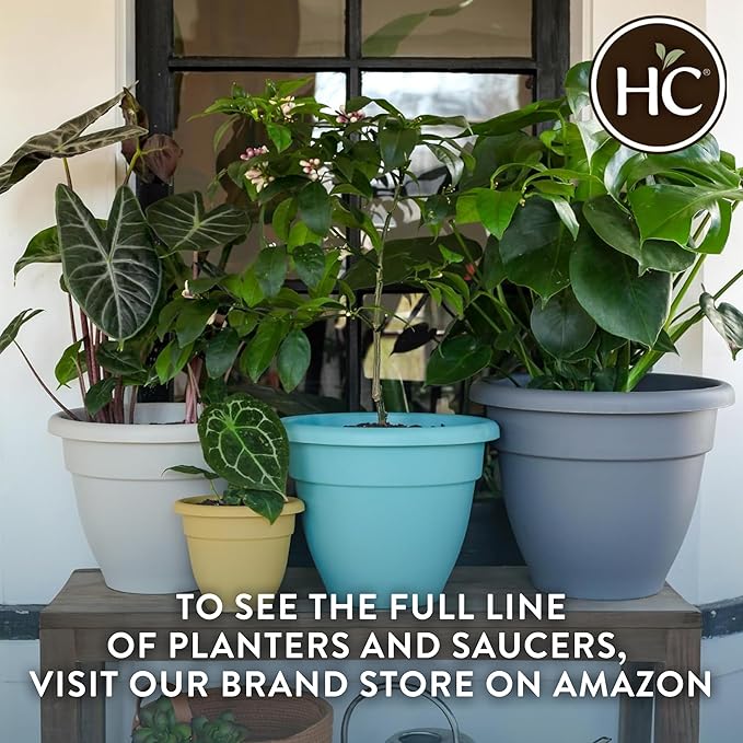 The HC Companies 8 Inch Caribbean Planter Pots with Drainage & Plug, Rolled Rim Plastic Planters for Indoor & Outdoor Plants, 4-Pack Decorative Flower Pots for Garden, Office & Home Decor, Pink Rose