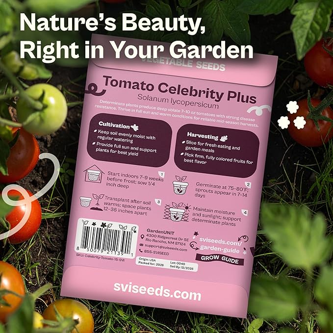 SVI 15 Plus F1 Celebrity Tomato Seeds (Solanum lycopersicum) – Heirloom Tomatoes Seed Packets, Slicing Tomatoes, Tomato Seed – Vegetable Seeds for Outdoor Home Garden Raised Beds, Containers