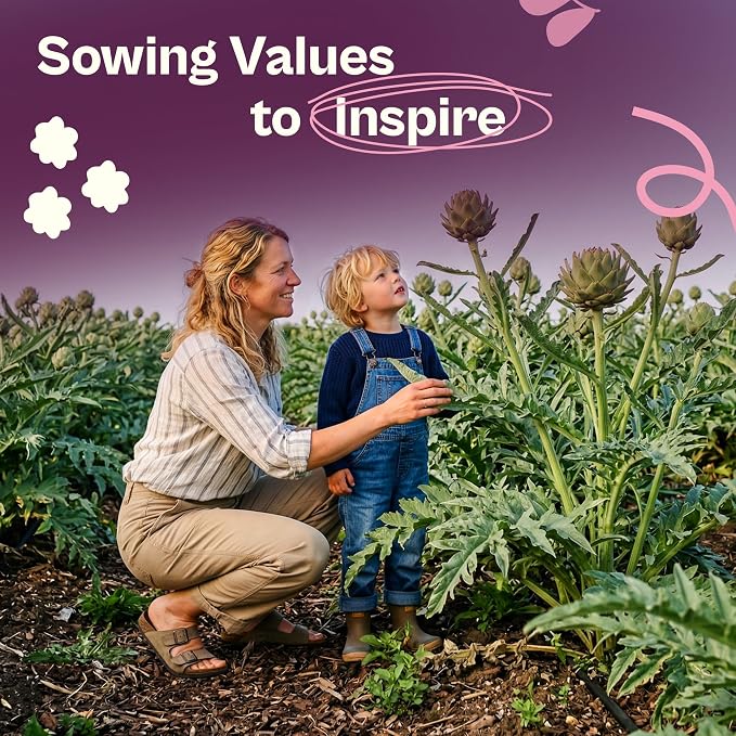 SVI 50 Green Globe Artichoke Seeds (Cynara scolymus) – Globe Artichoke Seed Packets, Artichokes Garden Seed Perennial – Heirloom Vegetable Seeds for Outdoor Garden Raised Beds, Containers