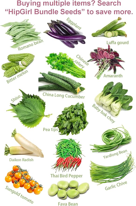 Bean Seeds for Planting Vegetables and Fruits. Pole Beans,Bush Beans,Romano Beans.Non GMO Garden Seeds for Home Vegetable Garden-65ct+ Sugar Snap Pea Seeds,豌豆苗,Edible Pod/Sweet Snap Pea Shoots & Tips