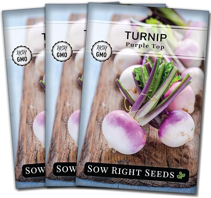 Sow Right Seeds - Purple Top White Globe Turnip Seeds for Planting - Non-GMO Heirloom Packet with Instructions to Plant a Home Vegetable Garden - Early Season, Cold Hardy - Classic Variety (3)