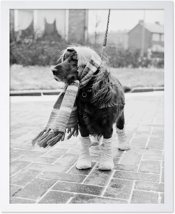 Poster Master Dog Dressed for Winter Print