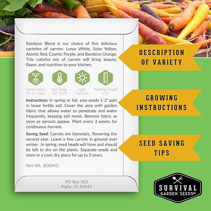 Fall Vegetable Seeds Collection - 8 Packs of Non-GMO Heirloom Cool Weather Seed Varieties for Planting Vegetables | Autumn & Indoor Gardening Variety Pack - Survival Garden Seeds
