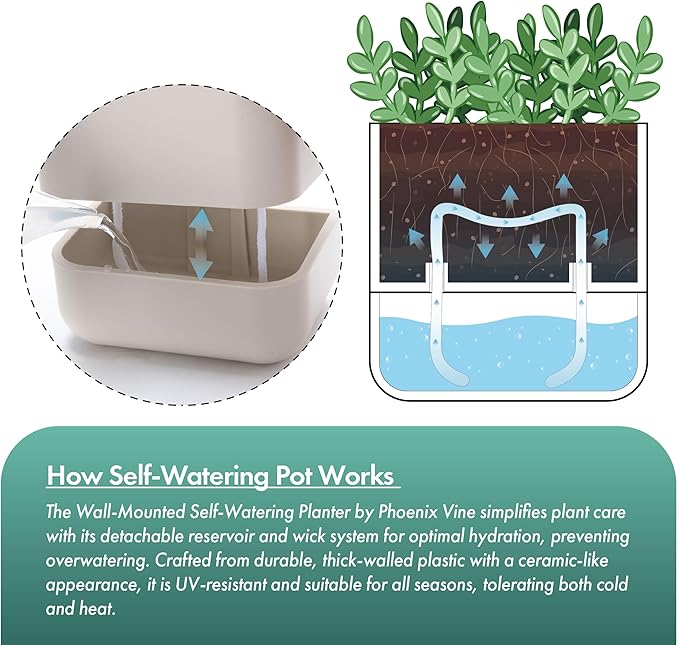 Phoenix Vine 6.5 Inch Wall Mounted Self-Watering Planter Pot