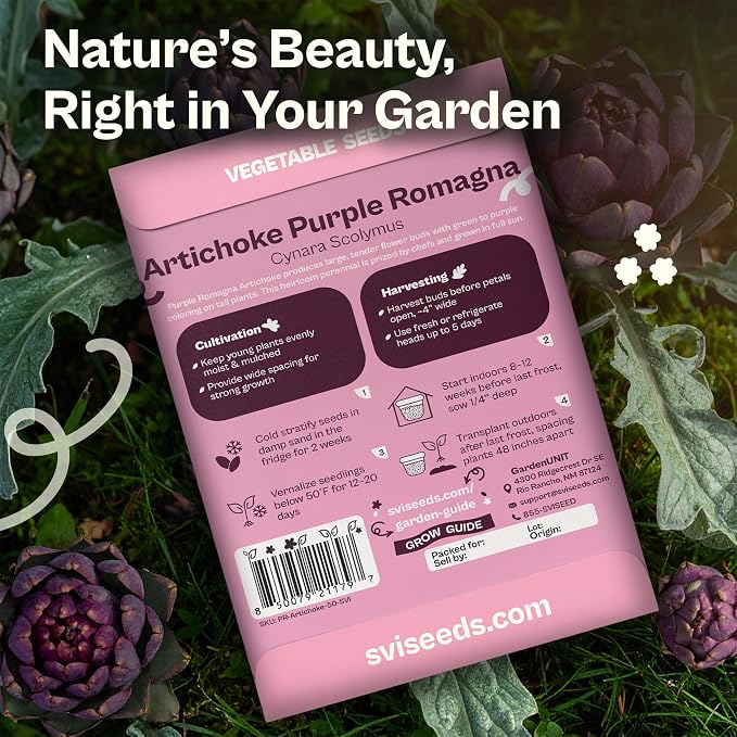 SVI 50 Purple Romagna Artichoke Seeds (Cynara scolymus) – Roman Artichokes Seed Packets, Non GMO Artichoke Vegetable Garden Seed – Heirloom Vegetable Seeds for Outdoor Garden, Containers