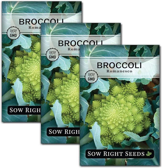 Sow Right Seeds - Romanesco Broccoli Seeds for Planting - Non-GMO Heirloom Packet with Instructions to Plant an Outdoor Home Vegetable Garden - Great for Salads - Abundant Harvest - Cold Hardy (3)