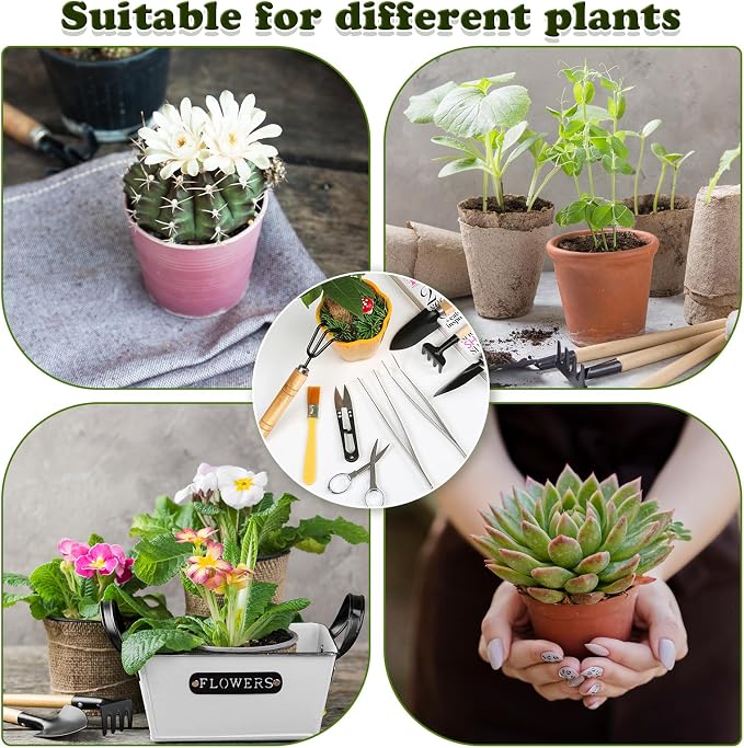 9PCS Basic Bonsai Tools Set, Bonsai Tree Kit Mini Garden Tools Includes Pruning Shears, Mini Rake, Fold Scissors and More