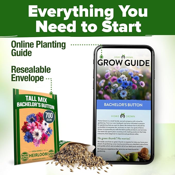 HOME GROWN Bachelor Button Flower Seeds Tall Mix 700+ Cornflower Heirloom Seeds for Planting - Quick Blooming, Non-GMO, Pollinator Friendly, Easy to Grow Wildflowers USA Grown (Centaurea cyanus)