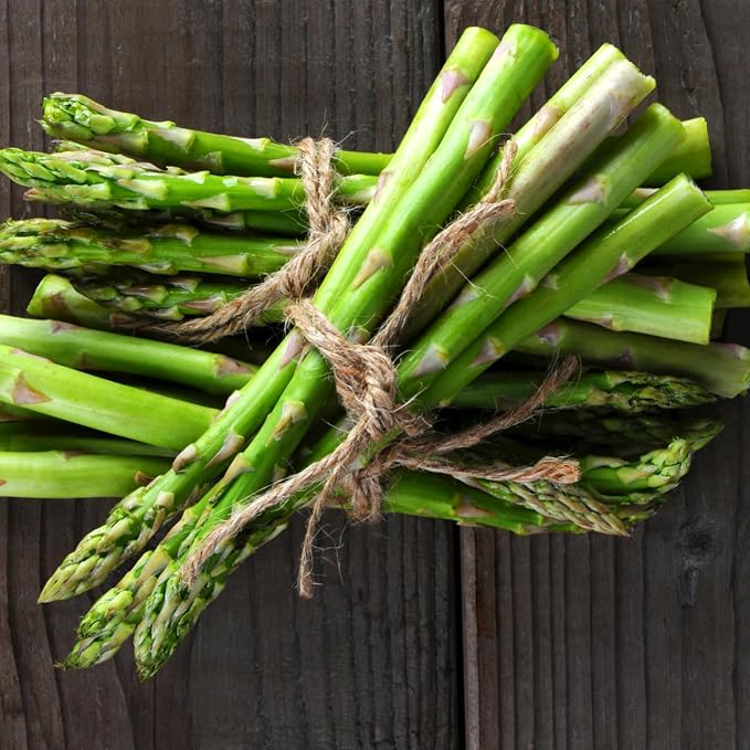 Seed Needs Mary Washington Asparagus Seeds to Plant Heirloom 2 Packs