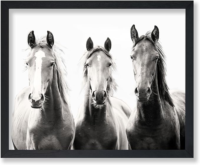 Poster Master Horse Poster