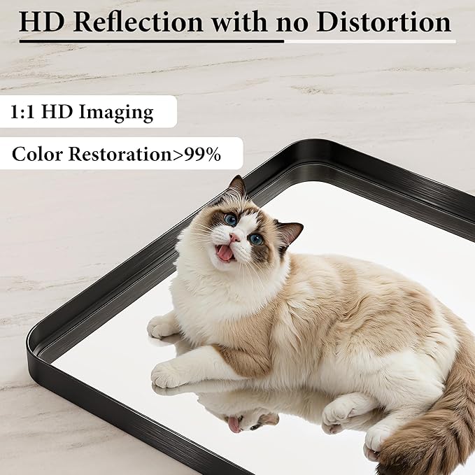 55X36 Inch Black Metal Framed Bathroom Mirror