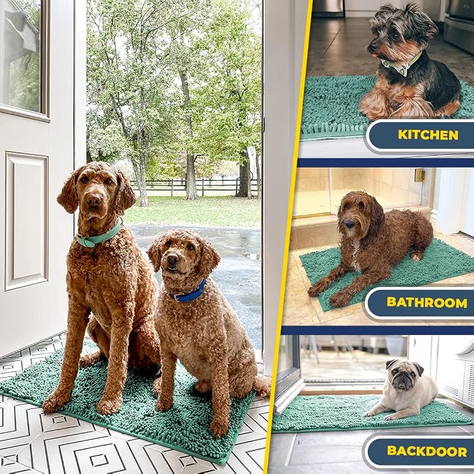 Muddy Mat® | Super Water Absorbent Door Mat Indoor, Microfiber Quick Dry Chenille Entryway Rug,Slip Resistant Front Door Mat,Indoor Mats for Entryway,Machine Washable Pet Rug, Seafoam Green 28"x18"