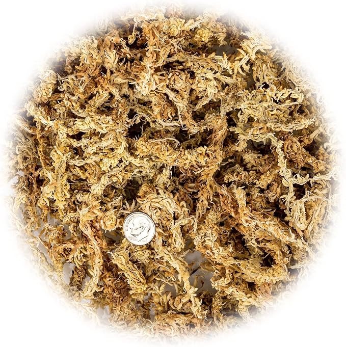 Premium Grade Sphagnum Moss by Gardenera - 10 Quart - Organic Hand Mixed New Zealand Long Fibered Sphagnum Moss Orchid - 2 Bags of 5 Quart