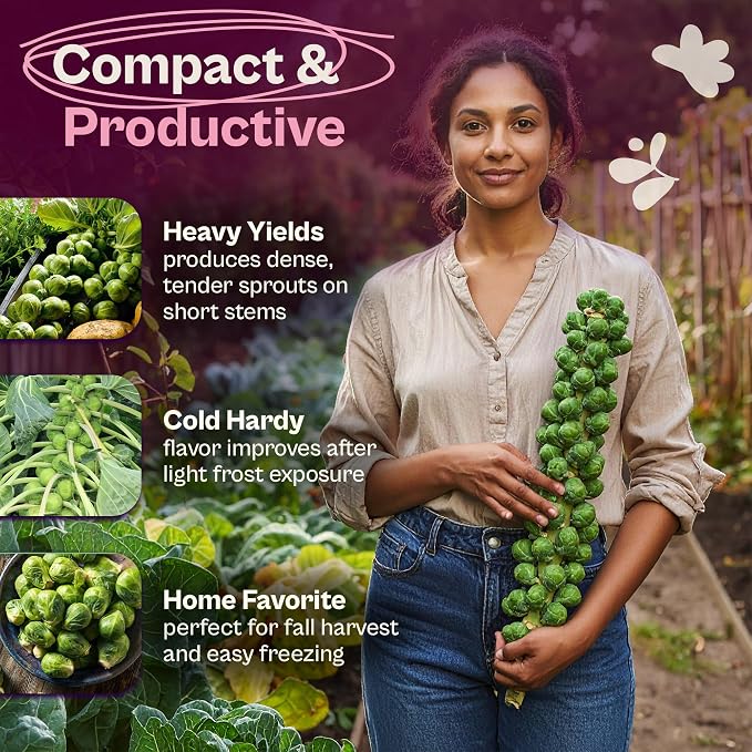 SVI 850 Long Island Brussels Sprouts Seeds (Brassica Oleracea) – Brussel Sprouts Seed Packets, Heirloom Brussel Sprout – Cold Hardy Vegetable Seeds Home Garden, Outdoor Beds, Containers