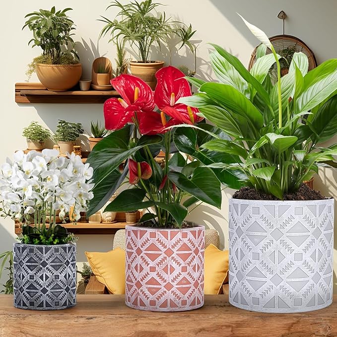 lokeisna Plant Pots, Set of Indoor Plant pots, Plastic Planter with Drainage and Saucer, Modern Distinctive Self Watering Plant Pot, Spray Spots (Indoor Plant Pots)