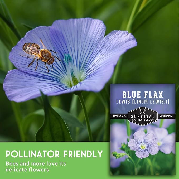 Lewis Blue Flax Seeds for Planting - Plant & Grow Drought Tolerant Native Perennial Wildflowers Your Home Garden - Non-GMO Heirloom Variety - Survival Garden Seeds (1 Pack)