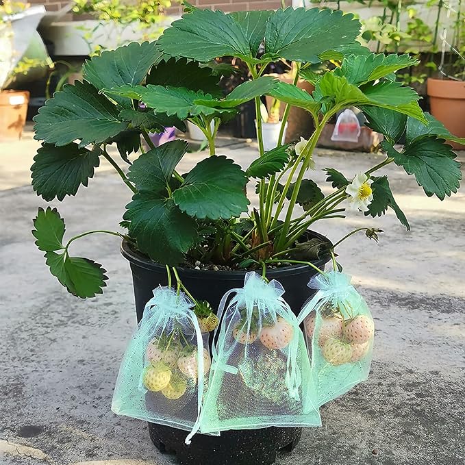 MIXC 50 Pcs Fruit Protection Bags,6''×8''Fruit Netting Bags for Fruit Trees Fruit Cover Mesh Bag with Drawstring Netting Barrier Bags for Plant Fruit Flower