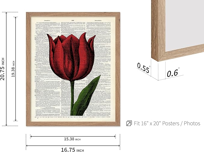 Poster Master Dictionary Art Poster - Tulip Print - Red Flower Art - Floral Art - Gift for Men, Women & Florist - Minimal Decor for Living Room, Bedroom, Dorm or Flower Shop, 16x20 Beige Framed