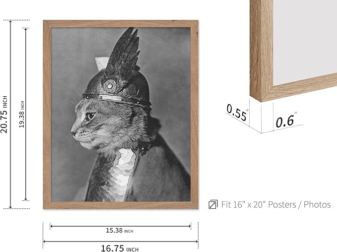 Poster Master Vintage Armored Cat