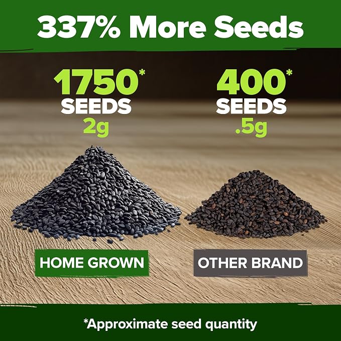 HOME GROWN Non GMO Genovese Basil Seeds Pack 1,750+ High Germination Heirloom Seeds (Ocimum basilicum) Herb Seeds for Planting Indoor & Outdoor Gardening, for Culinary Use
