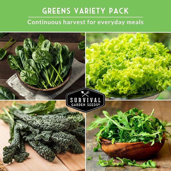 Leafy Greens Seeds Variety Pack – 5 Heirlooms: Viroflay Spinach, Arugula, Lacinato Kale, Salad Bowl Lettuce & Rainbow Swiss Chard – Cool Season Garden Collection - Survival Garden Seeds