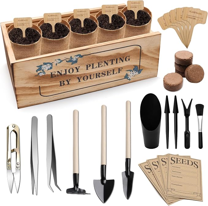 Bonsai Tree Starter Kit, Indoor Bonsai Tree Kit Meeting Planting and Caring Needs Curated Design for A Complete Gardening Experience for Enthusiasts-no Seeds Included