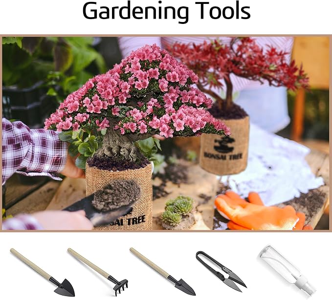 Indoor Bonsai Garden Starter Kit, 5 Seeds Growing into Red Maple, Wisteria, Black Pine, Judas Tree, Acacia, Including Complete Gardening Planters & A Planter Box for Women