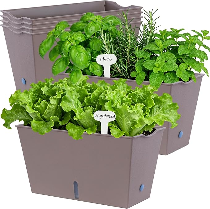 Oliz Window Box Planter 6 Pcs, 12.6 Inches Self Watering Rectangle Flower Plant Pots with Drainage Holes & Breathable Trays, Vegetable Planters for Windowsill Patio Garden Balcony Porch Yard (Khaki)
