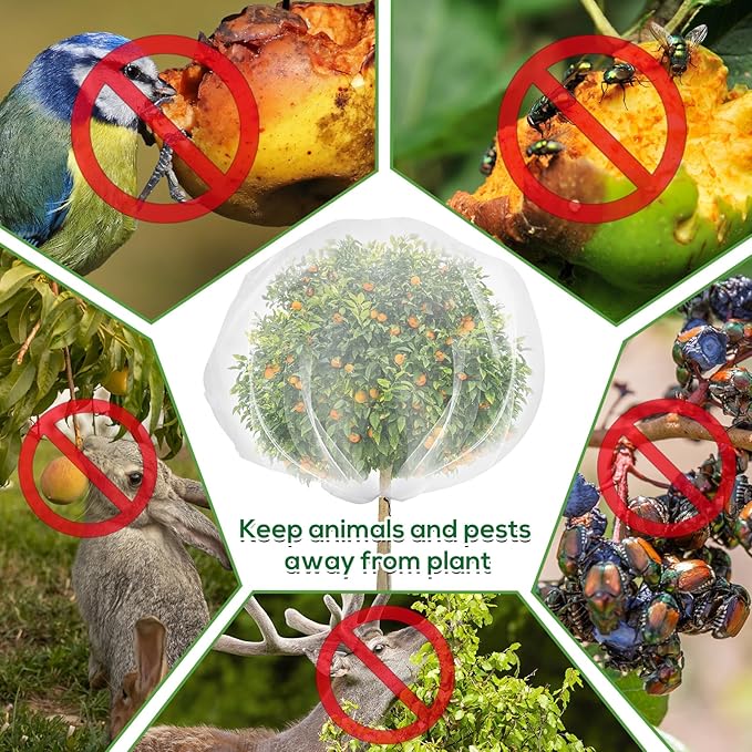 2PCS Fruit Tree Netting with Drawstring, 8.2 x 6.6 ft Ultra-Fine Mesh Garden Insect & Bird Protection Cover, Breathable Reusable Tree Netting for Citrus, Apple, Peach & Shrubs