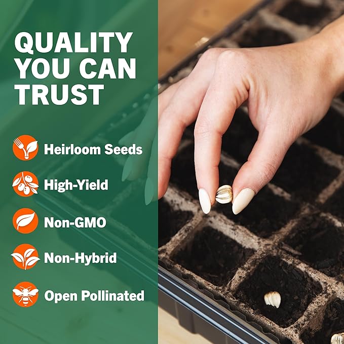 Open Seed Vault |15,000 Heirloom Seeds | 32 Seed Types | Survival Seeds | 2026 Season | Non GMO Vegetable and Fruit Seeds | Planting Outdoor & Indoor Garden