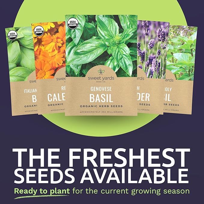 Organic Herb Seeds Variety Pack - 35 Individual Packs - 2026 Season - Basil, Cilantro, Dill, Thyme, Parsley and More! for Indoor & Outdoor Planting (Non-GMO, Certified Organic)