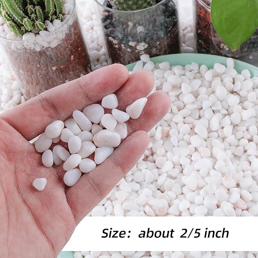 CJGQ 7lb 1/4" Small White Rocks for Plants,Potting,Succulents Aquarium Fish Tank Garden Vases Decorative Pebbles Gravel Rocks Stones