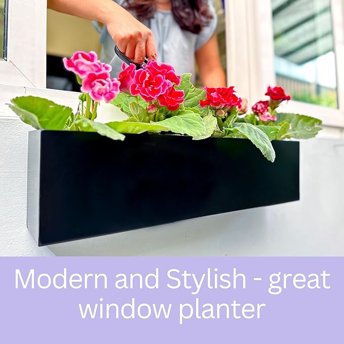 LaLaGreen Wall Planters for Outdoor Plants Carbon Steel Black Metal Hanging