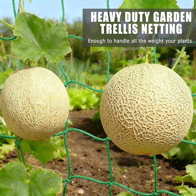 6.6x26.3FT Trellis Netting for Climbing Plants,Trellis Netting with Plant Clips, Heavy-Duty PE Trellis Net for Cucumber, Tomato, Vegetables, Fruits, Sweet Pea Plants