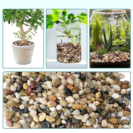5 lbs Pebbles for Indoor Plants, Vase, Succulent, 3/8" Gravel for Plants, Pots Indoor, Bamboo Rocks for Bamboo Plants, Decorative Small River Rock, Highly Polished