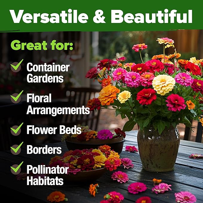 HOME GROWN Zinnia Seeds for 2026 - California Giant Mix - 14,600+ (4 oz) Plant Wildflower Blooms Bulk Seeds for Planting Flowers Outside - Pollinator Gardens (Zinnia elegans)