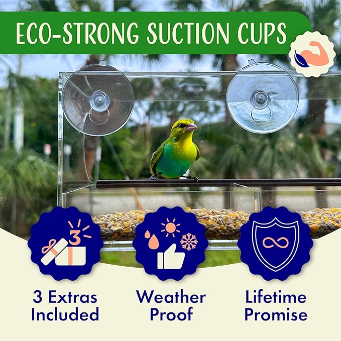 Window Bird Feeder by Nature’s Hangout - Award-Winning Clear Acrylic Bird Feeders for Outdoors, No Assembly, Strong Suction Cups, Bird Watching for Cats, Easy-to-Clean Birdhouse