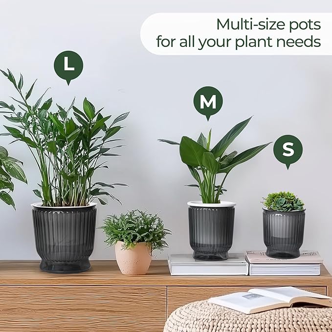 T4U 4 Inch Self Watering Plant Pot, 4 Pack Self Watering Pots, Small Self Watering Planter with Reservoir for Indoor Plants, African Violets (4 Pack 4" Pots, Translucent Gray)