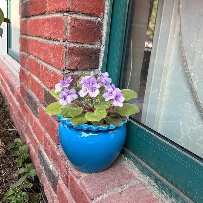 African Violet Flower Pot Blue Ceramic Self Watering Flower Pot 6.5 * 4.6 inch Simple Plant Self Watering Pot High Absorption Herbaceous Simple Plant Self Watering Basin