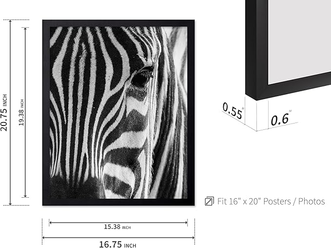 Poster Master Photograph Poster