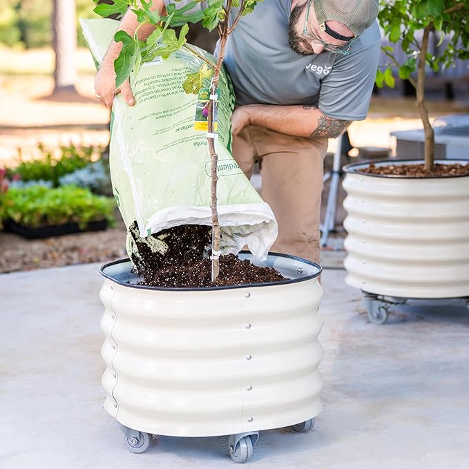 Rolling Metal Citrus Tree Planter Pot, 21″ Round Planter Box for Porch Patio & Backyard, 20 Gallon Large Planter Pot with Wheels for Growing Olive Trees Tomatoes Vegetables Flowers, 2 Pack Modern Gray