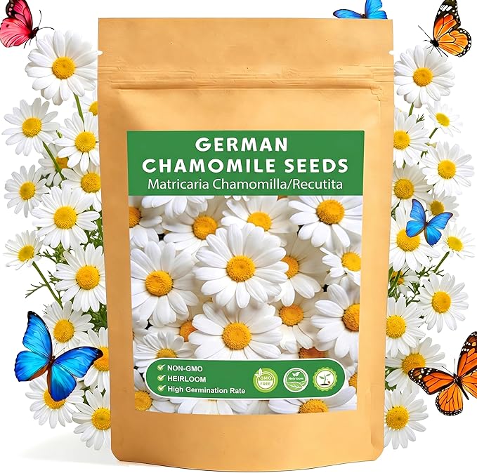 LUOJIBIE German Chamomile Seeds, 60,000+ Chamomile Flower Seeds Bulk for Planting Outdoor Indoor Garden, Heirloom & Non-GMO Matricaria Chamomilla/Recutita Herb Seeds, Easy to Grow