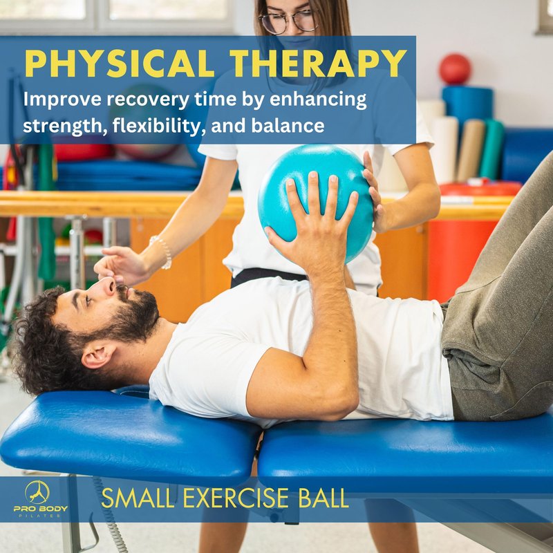 ProBody Pilates Small Exercise Ball - 9 Inch Workout Ball for Stability, Barre, Yoga, Core & Physical Therapy (Aqua)