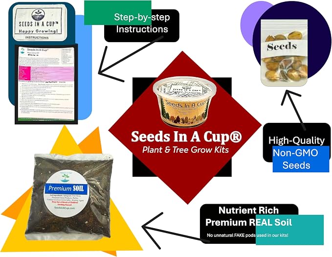 Ash Tree | Seeds In A Cup: Ash Tree Starter Kit | Easy to use | Educational | Memorial Gift | Plant It for The Planet | Grow Your Own Tree | Plastic Planter