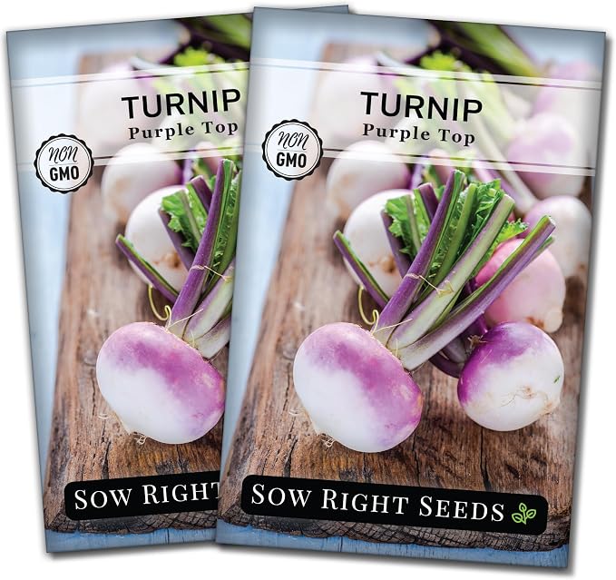 Sow Right Seeds - Purple Top White Globe Turnip Seeds for Planting - Non-GMO Heirloom Packet with Instructions to Plant a Home Vegetable Garden - Early Season, Cold Hardy - Classic Variety (2)