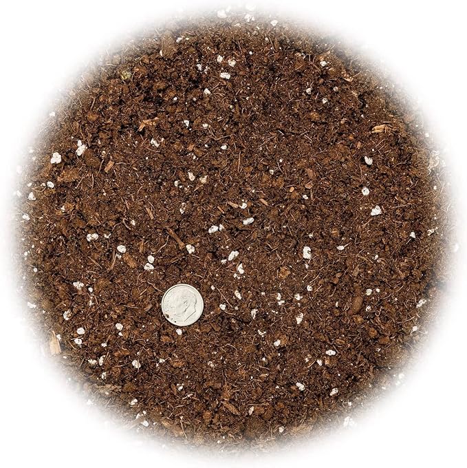 GARDENERA Premium Dracaena Potting Soil Mix - (5 Quart Bag)