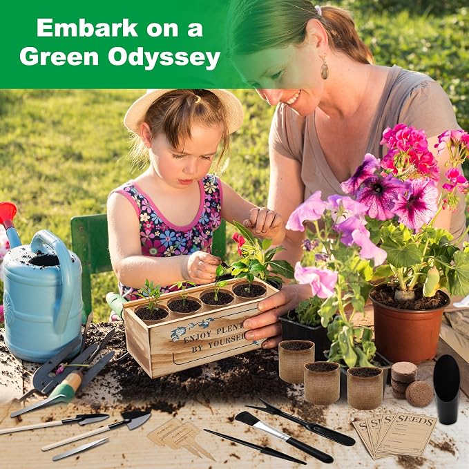 Bonsai Tree Starter Kit, Indoor Bonsai Tree Kit Meeting Planting and Caring Needs Curated Design for A Complete Gardening Experience for Enthusiasts-no Seeds Included